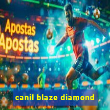 canil blaze diamond